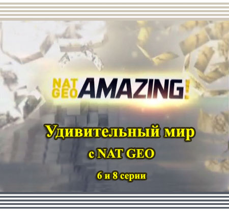    NAT GEO 6  8  / NAT GEO Amazing!(2010) SATRip