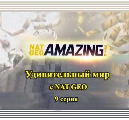   NAT GEO 9  / NAT GEO Amazing!(2010) SATRip