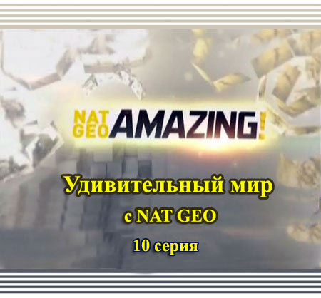    NAT GEO 10  / NAT GEO Amazing!(2010) SATRip