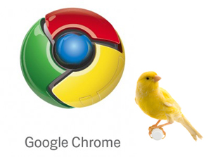 Google Chrome 11.0.681.0 Canary