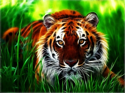 HD Free Pixs Pack 9