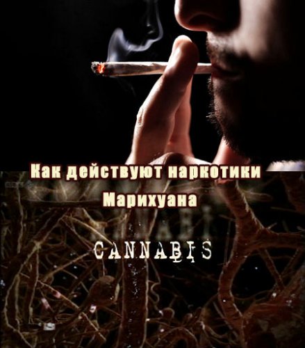   .  / How Drugs Work. Cannabis (2011) TVRip