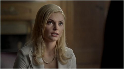 ��������� ������ / Double Identity '2009 DVDip