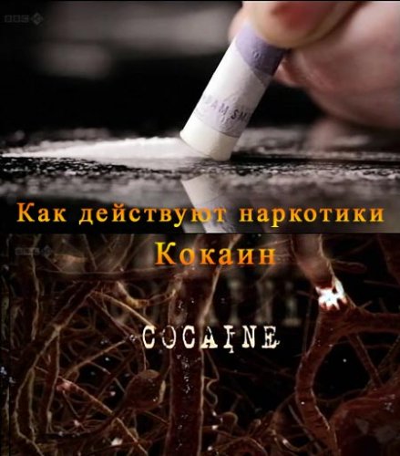   .   / How Drugs Work. Cocaine (2011) TVRip