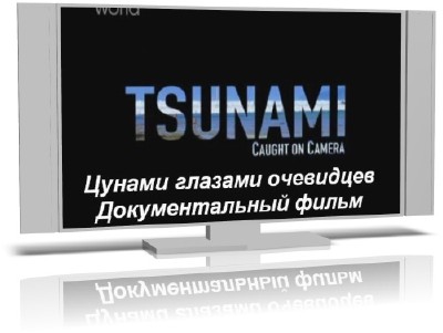    / Tsunami Caught on camera (2010/SATRip/700Mb)