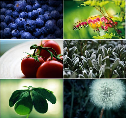 50 Amazing Nature HD Wallpapers [Set 4]
