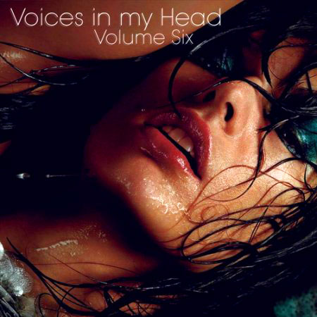 VA-Voices in my Head Volume 6 (April 2011)