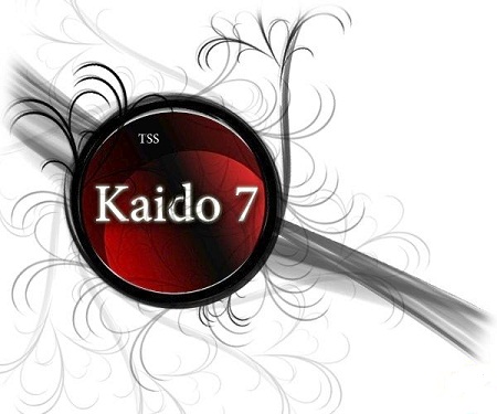 Kaido Player 7 v.7.0.35.00 & New KS2 (2011) PC