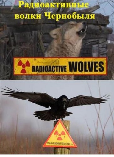    / Chernobyls Radioactive Wolve (2011) TVRip