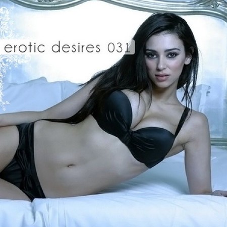 VA - Erotic Desires Volume 031 (2011)