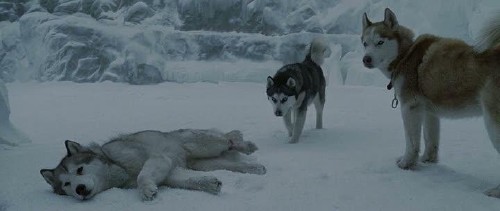 ����� ���� / Eight Below (2006) DVDRip-AVC