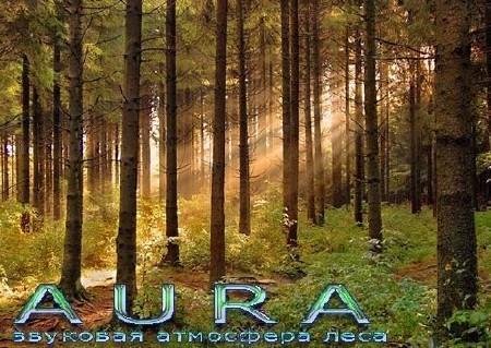 Aura 2.7.4d.155 Portable Multilingual