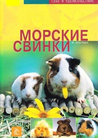 �������, ���� ������ - ������� ������ (2006)