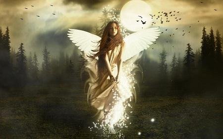 Beautiful Angel Screensaver