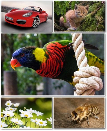 Best HD Wallpapers Pack �282
