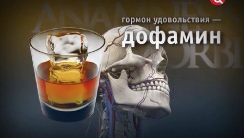 ������� ��������. ���������� (01.07.2011) SATRip