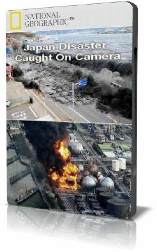 �������� ���������� - ��������� ������� / Japan Disaster Caught On Camera (2011) SATRip