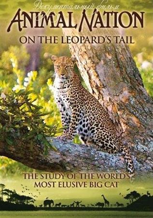 �� ������ �������� / On The Leopard's Tail (2005) TVRip