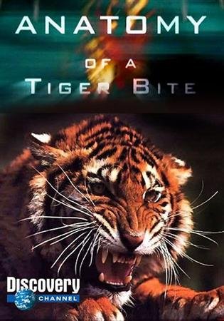 �������� ��������� ����� / Anatomy Of A Tiger Bite (2004) SATRip