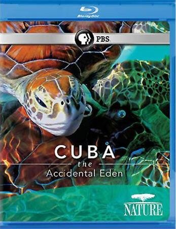 ����. ��������� ��� / Cuba. The Accidental Eden (2010) BDRip