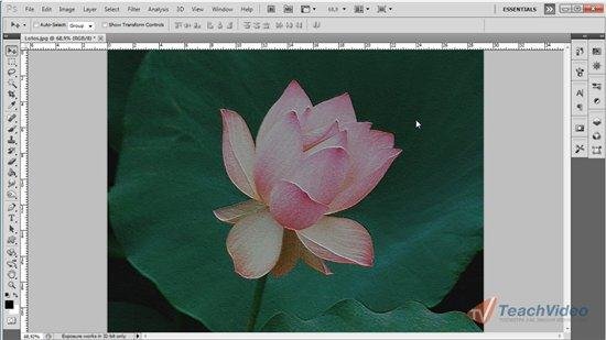 ������� ����������� - ����������������� Adobe Photoshop (2011) PC