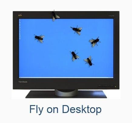 Fly on Desktop 1.5 (2011)