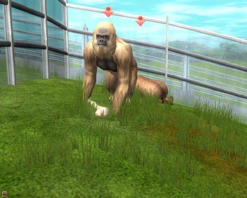 Wildlife Park 2: Crazy Zoo / ���� ����� ������� 2: ������ �������