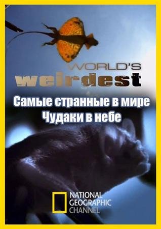 ����� �������� � ����. ������ � ���� / World`s Weirdest. Freaks of the Sky (2010) HDTVRip