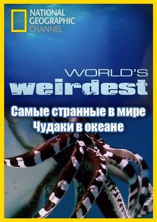   .    / World`s Weirdest. Freaks in the Ocean (2010) HDTVRip