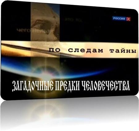 �� ������ �����. ���������� ������ ������������ (2011 / SATRip)
