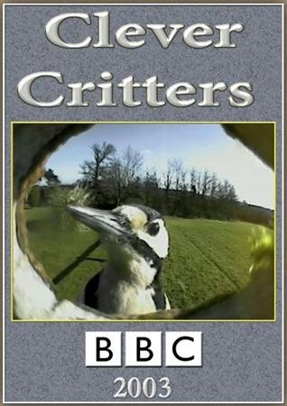   / Clever Critters (2003) SATRip