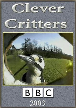 ��� ����� �������� / Clever Critters (2003) SATRip
