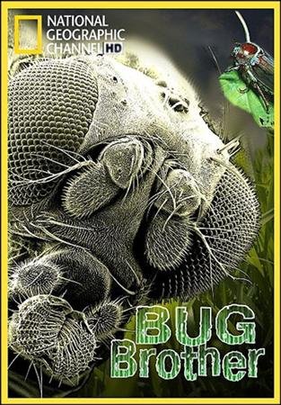    / Bug Brother (2007) HDTVRip