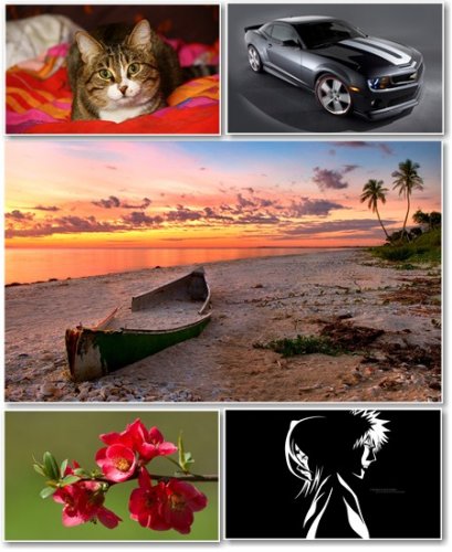Best HD Wallpapers Pack 290