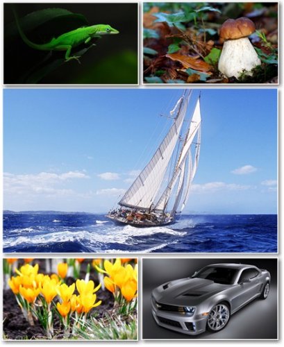 Best HD Wallpapers Pack �291