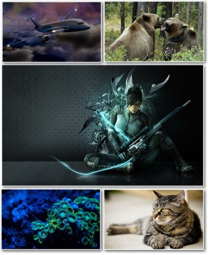 Best HD Wallpapers Pack �295