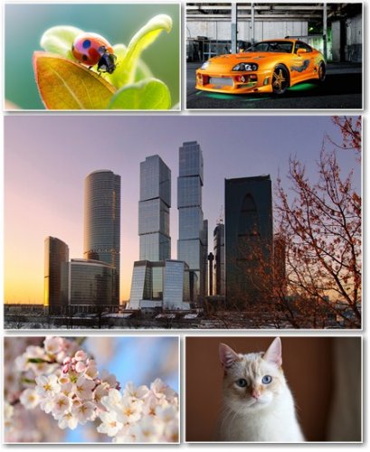 Best HD Wallpapers Pack �297