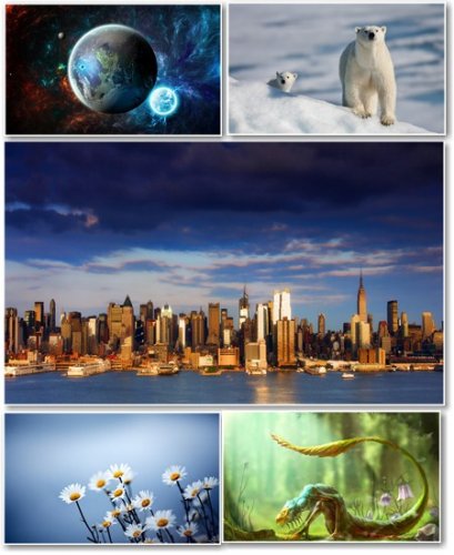 Best HD Wallpapers Pack 301