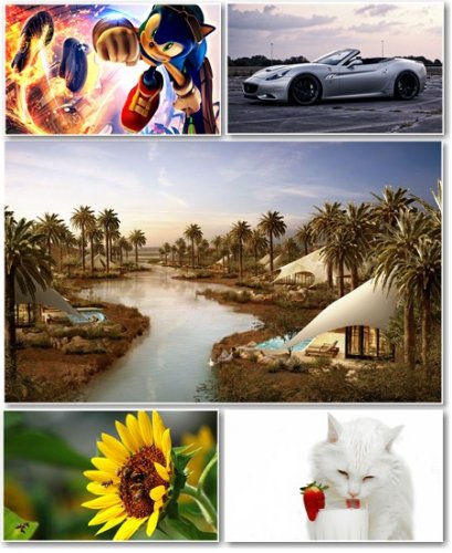 Best HD Wallpapers Pack 303