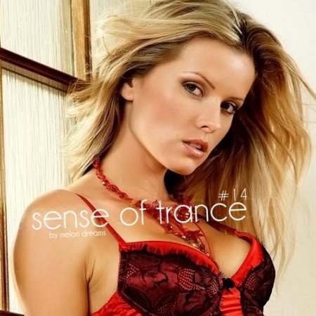 VA - Sense Of Trance 14 (2011) MP3