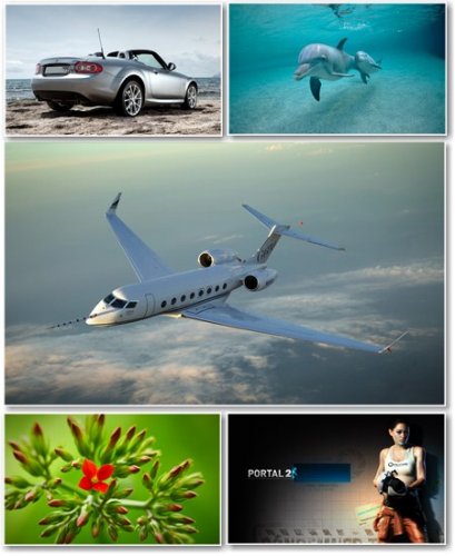 Best HD Wallpapers Pack 313