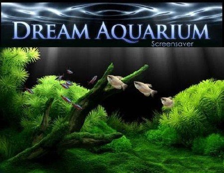 Dream Aquarium Screensaver 1.24 21 + Aquariums Portable