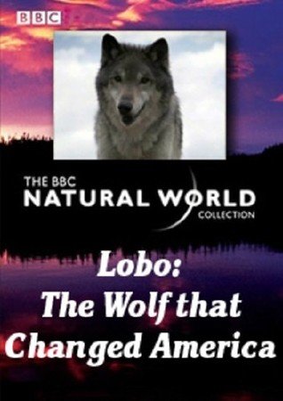 : ,    / Lobo: The Wolf that Changed America (2007) TVRip