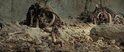   / Ao, le dernier Neandertal (2010) HDRip (/Mobile/MP4)