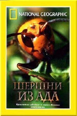    / Hornets From Hell (2002) DVDRip