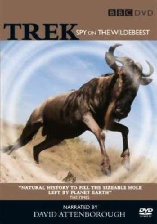   .  / Trek Spy on the Wildebeest. The Crossing (2006) SATRip