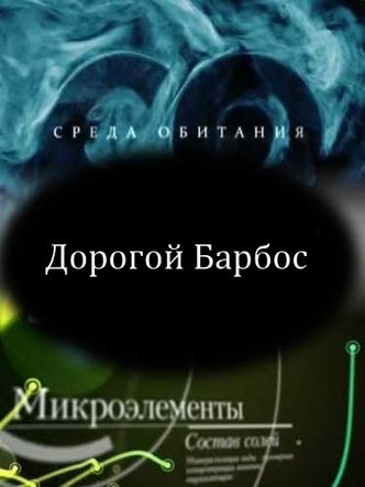 ����� ��������. ������� ������ (2011) SATRip
