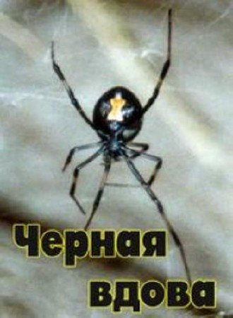 ������ ����� / Bite Of The Black Widow (1993) SATRip