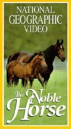   / The Noble Horse (1999) DVDRip