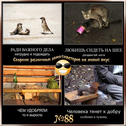������������ �� ����� ���� �88